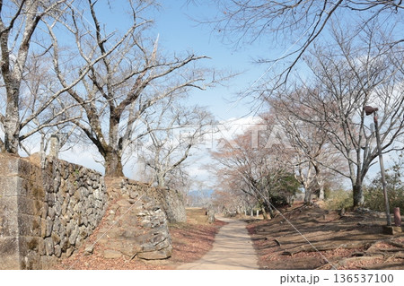 「荒城の月」のモデル・岡城跡（大分県竹田市） 136537100