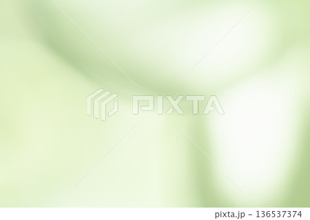 深緑色系くすみカラー　ふんわりな抽象的背景 136537374