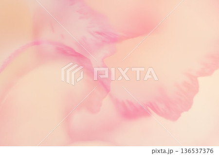 暖色系パステル(ピンク・オレンジ色系)花のエッジを生かした背景 暖色系パステル(ピンク・オレンジ色系)花のエッジを生かした背景 136537376