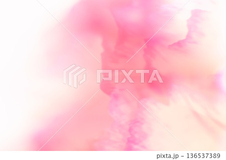 暖色系パステル(ピンク・オレンジ色系)花のエッジを生かした背景 暖色系パステル(ピンク・オレンジ色系)花のエッジを生かした背景 136537389