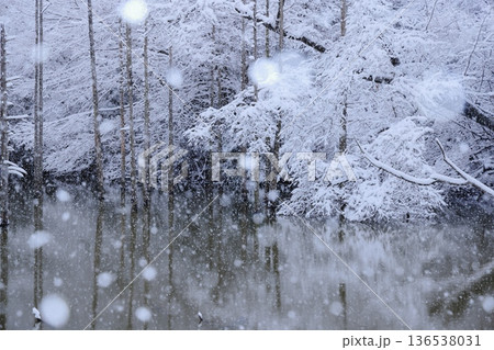 雪の都立小山内裏公園水没林 136538031
