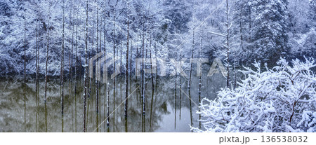 雪の都立小山内裏公園水没林（パノラマ） 136538032