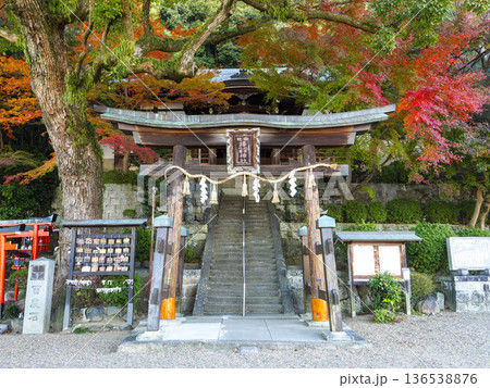 紅葉が美しい神社と鳥居の景色 紅葉が美しい神社と鳥居の景色 136538876
