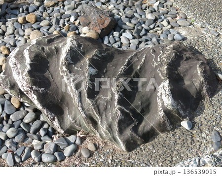 横浜市神奈川区の成仏寺にある浦島太郎の涙石 136539015