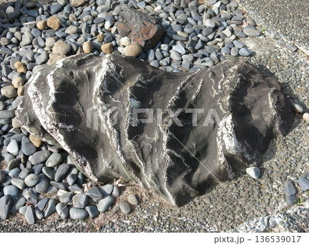 横浜市神奈川区の成仏寺にある浦島太郎の涙石 136539017