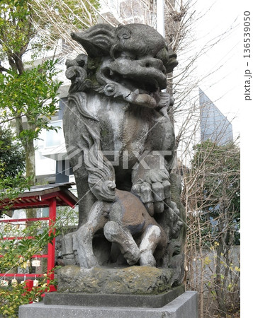 横浜市神奈川区の熊野神社にある狛犬(阿形) 横浜市神奈川区の熊野神社にある狛犬(阿形) 136539050