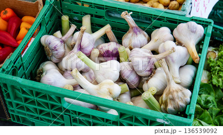 緑色のプラスチックケースに大量に入った茎付きの新鮮な白いニンニク 136539092