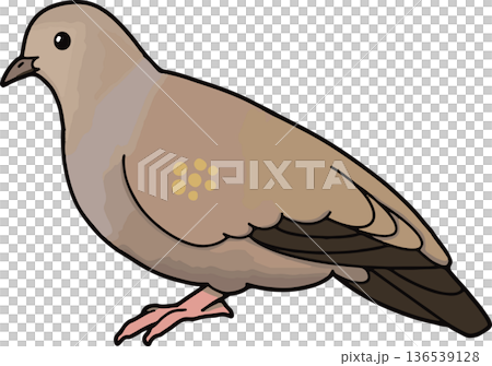 金斑奔跑鴿子插圖（風景，透明背景） 136539128