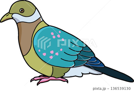 アカボシヒメアオバトのイラスト（横向き・透過背景） 136539130