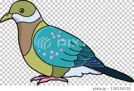 アカボシヒメアオバトのイラスト（横向き・透過背景） 136539130
