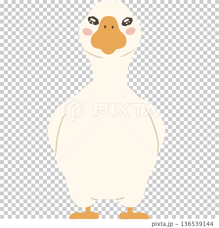 White goose cute funny cartoon flat design illustration. White goose cute funny cartoon flat design illustration. 136539144