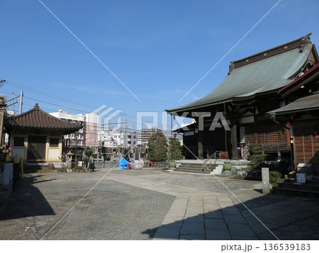 横浜市神奈川区の慶運寺（本堂・観音堂） 136539183