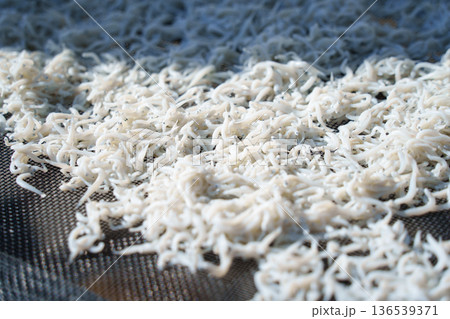 しらすの天日干し風景 しらすの天日干し風景 136539371