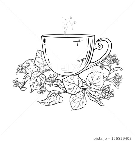 Cup of Linden Tea Outline Illustration. 136539402