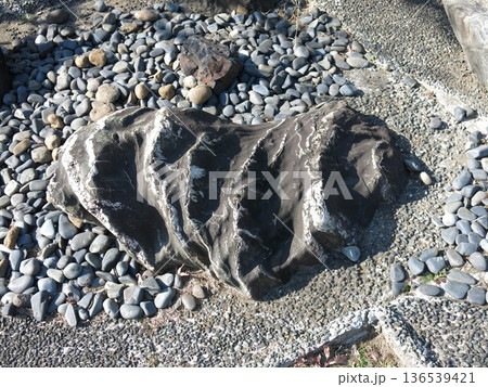 横浜市神奈川区の成仏寺にある浦島太郎の涙石 136539421