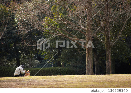 冬の朝の公園で犬を連れて散歩するシニア女性の姿	 136539540