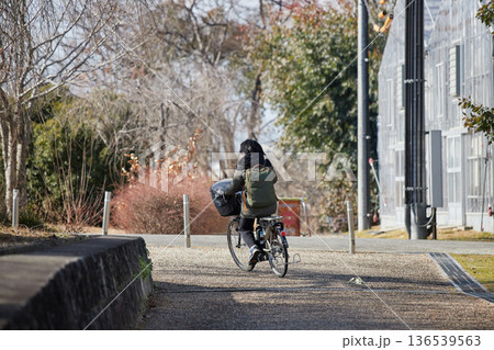 冬の公園で自転車を乗る一人の中年女性の姿 冬の公園で自転車を乗る一人の中年女性の姿 136539563