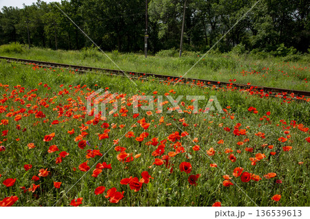 A fragment of a railroad track with rails 136539613
