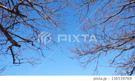 冬イメージ(winter image)　寒波　どん底など心理描写にも 136539769