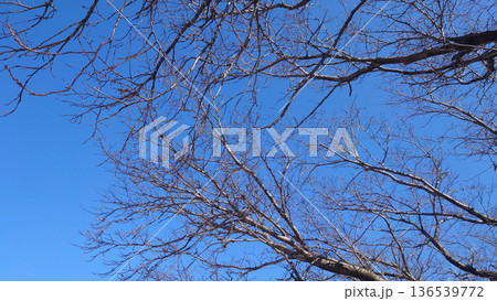 冬イメージ(winter image)　寒波　どん底など心理描写にも 136539772