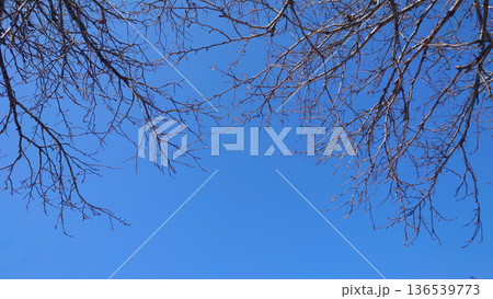 冬イメージ(winter image)　寒波　どん底など心理描写にも 136539773