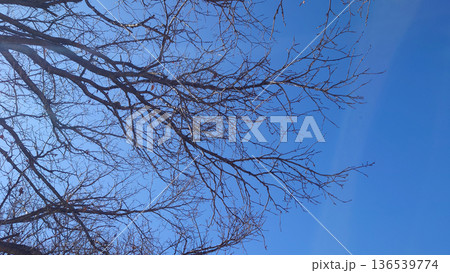 冬イメージ(winter image)　寒波　どん底など心理描写にも 136539774