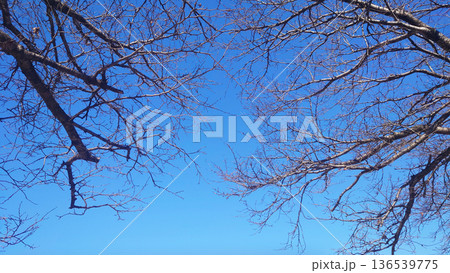 冬イメージ(winter image) 寒波 どん底など心理描写にも 冬イメージ(winter image) 寒波 どん底など心理描写にも 136539775