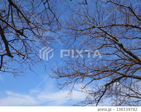 冬イメージ(winter image)　寒波　どん底など心理描写にも 136539782