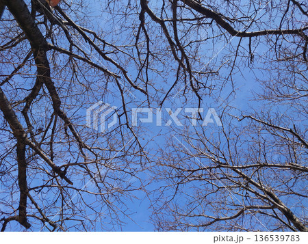 冬イメージ(winter image)　寒波　どん底など心理描写にも 136539783