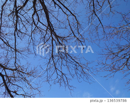 冬イメージ(winter image) 寒波 どん底など心理描写にも 冬イメージ(winter image) 寒波 どん底など心理描写にも 136539786