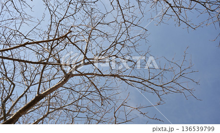 冬イメージ(winter image)　寒波　どん底など心理描写にも 136539799