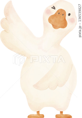 Goose hand drawing Soft Watercolor Clipart Cute Goose Poses Illustration 136539827