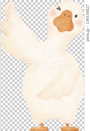 Goose hand drawing Soft Watercolor Clipart Cute Goose Poses Illustration 136539827