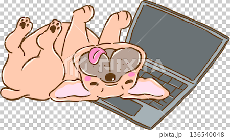 Silly French Bulldog Belly up Sleeping on Laptop, frenchie Dog Cartoon Hand Drawn 136540048