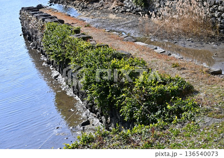 大村藩 お船蔵跡（長崎県大村市：玖島城の船蔵） 136540073