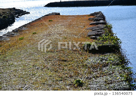 大村藩 お船蔵跡（長崎県大村市：玖島城の船蔵） 136540075