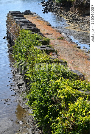 大村藩 お船蔵跡（長崎県大村市：玖島城の船蔵） 136540087