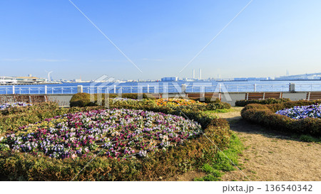 山下公園から見た横浜港 山下公園から見た横浜港 136540342