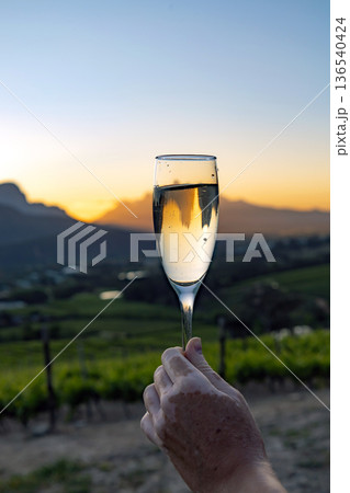 Woman holding glass of white wine champagne at sunset mountains. Stellenbosch wine region vineyard landscape celebration holiday. 136540424