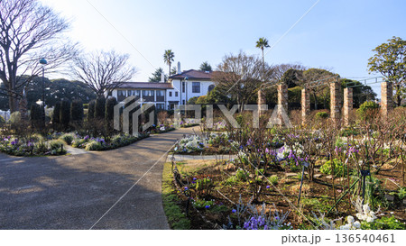 港の見える丘公園の冬 港の見える丘公園の冬 136540461