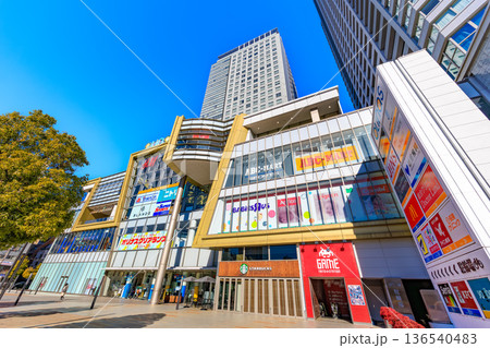 東京 墨田区の都市風景 オリナス錦糸町とオリナスタワー 東京 墨田区の都市風景 オリナス錦糸町とオリナスタワー 136540483