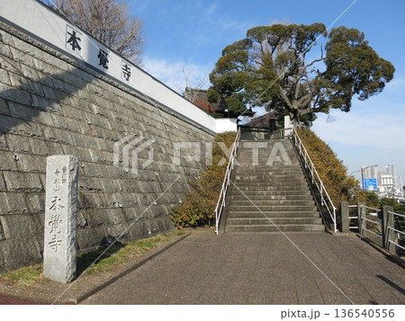 横浜市神奈川区の本覚寺（門前・寺号標・スダジイ） 136540556