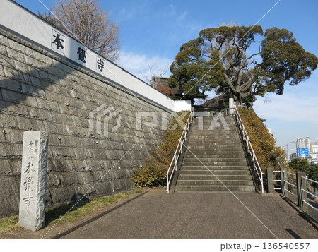 横浜市神奈川区の本覚寺（門前・寺号標・スダジイ） 136540557