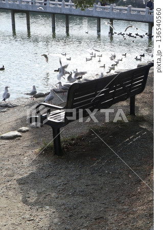 2024年・福岡・福岡市・風景・中央区大濠公園・大濠公園・其の三十六 2024年・福岡・福岡市・風景・中央区大濠公園・大濠公園・其の三十六 136540560