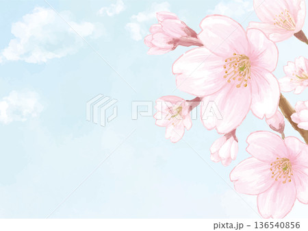 春の空に咲く桜の水彩風手描き背景イラスト 春の空に咲く桜の水彩風手描き背景イラスト 136540856