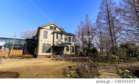 イタリヤ山庭園の冬 136541037