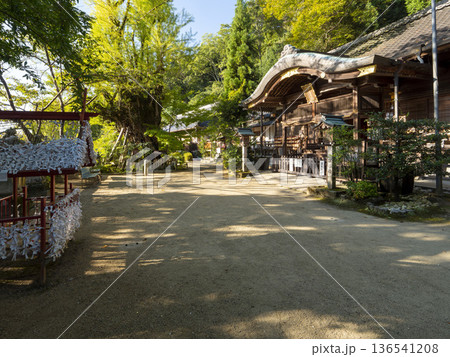 朝日に照らされた葛城一言主神社の拝殿 136541208