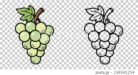 Simple white grape icon illustration Simple white grape icon illustration 136541254