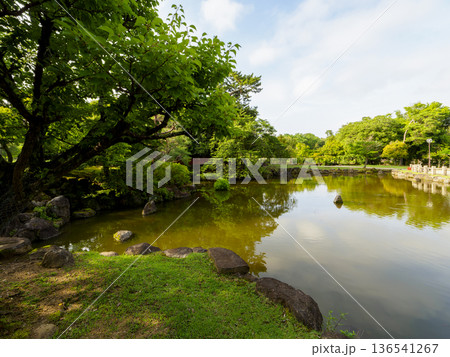 真夏の奈良公園三社託宣池と新緑の木々 真夏の奈良公園三社託宣池と新緑の木々 136541267