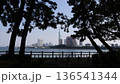 愛宕浜から望む百道のビル群と都市景観 136541344